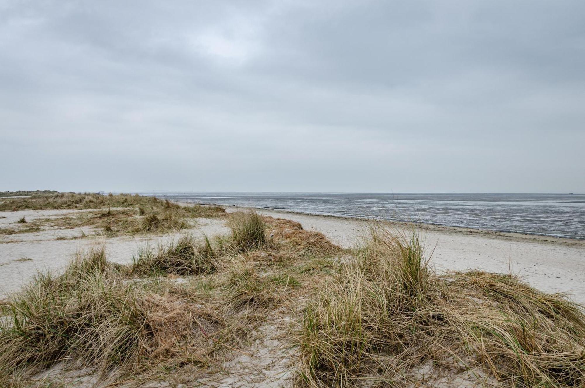 Nordsee Ferienwohnung 9 Personen Schillig Extérieur photo